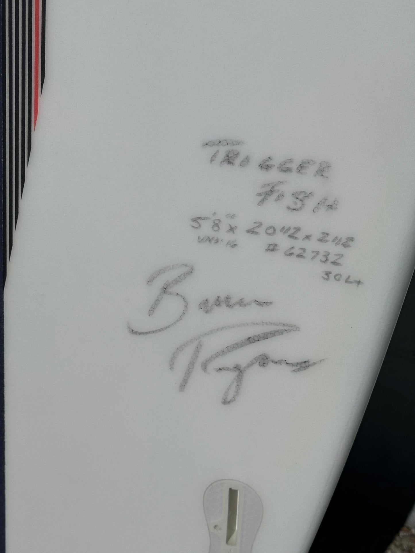 5'8 Trigger Fish QFLEX